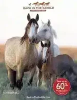 Back In The Saddle Catalog: A variety of equestrian lifestyle products including riding apparel