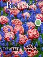 Breck's Flower Catalog: A vibrant display of various Dutch tulips and spring flowers in a professional garden setting.
