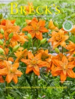 brecks-catalog-a026b005
