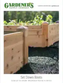 Gardener's Supply Catalog: A variety of high-quality gardening tools and raised beds in a lush backyard garden setting.