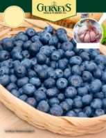 Free Gurney's Seed & Nursery Catalog