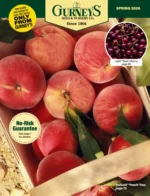 gurneys-seed-catalog-a026b004