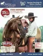 Horse.com Catalog: A variety of equestrian supplies and horse tack displayed for horse owners.