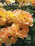 jackson-perkins-catalog-a026b004