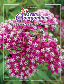 K. Van Bourgondien Catalog