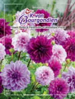 k-van-bourgondien-catalog-a026b004
