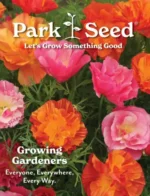 Park Seed Catalog: A vibrant variety of vegetable and flower seed packets laid out on a wooden gardening table with a trowel.