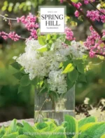 Spring Hill Catalog: A variety of colorful perennials and flowering shrubs in a well-maintained home garden landscape.