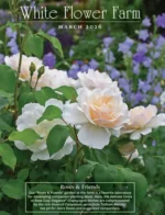 white-flower-farm-catalog-a26-03